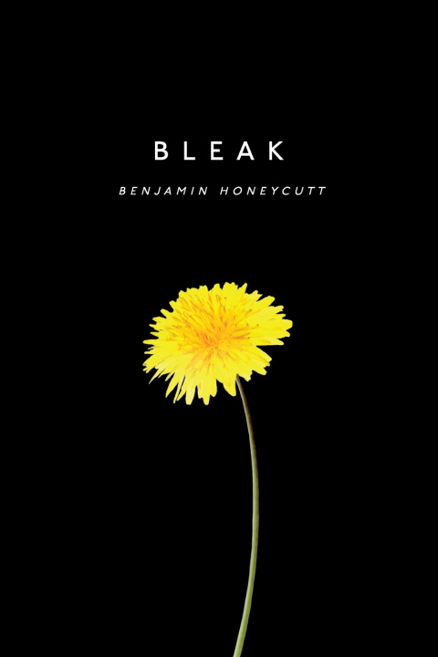 Livro Bleak Benjamin Honeycutt