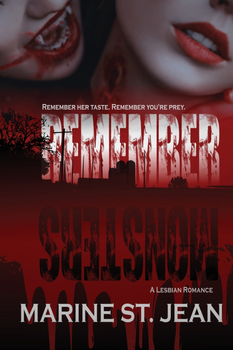 Buch Remember Monsters Marine St. Jean
