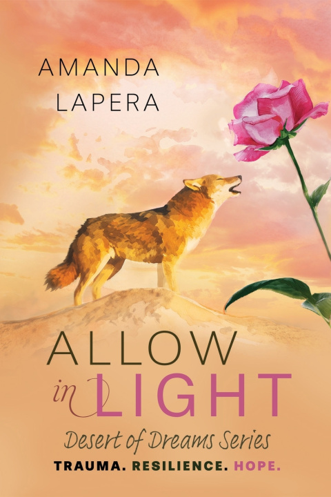 Book Allow in Light Amanda LaPera