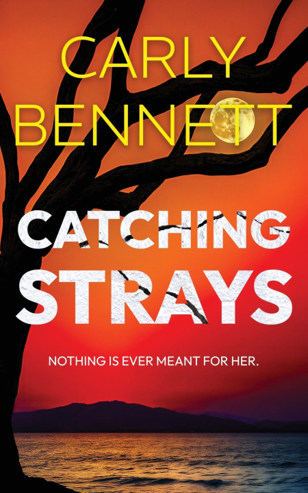 Libro Catching Strays Carly Bennett