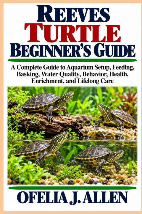 Buch Reeves Turtle Beginner's Guide Ofelia J. Allen