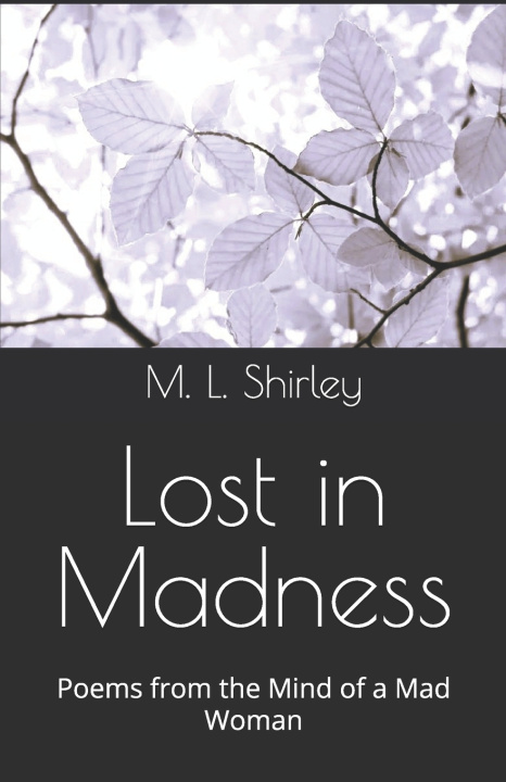 Knjiga Lost in Madness M L Shirley