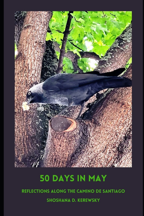 Книга 50 Days in May Shoshana D. Kerewsky
