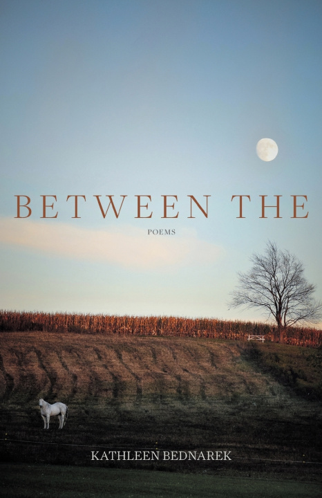 Knjiga Between The Kathleen Bednarek