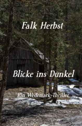 Buch Blicke ins Dunkel Falk Herbst