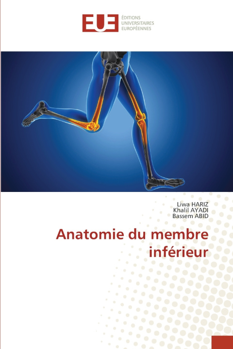 Knjiga Anatomie du membre inférieur Liwa HARIZ
