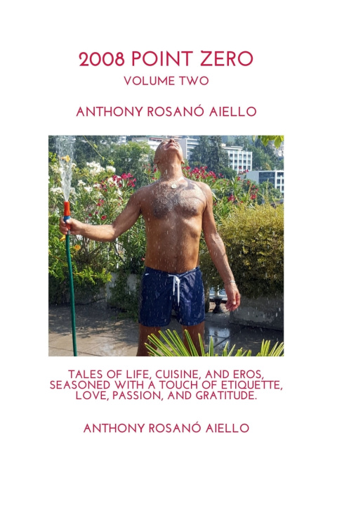 Knjiga 2008 Point Zero Volume 2 Anthony Rosano' Aiello