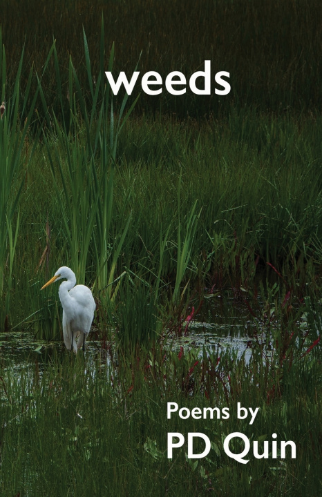 Libro weeds PD Quin