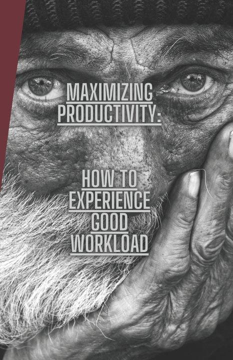Livro Maximizing Productivity ARIAH 0 CREDO