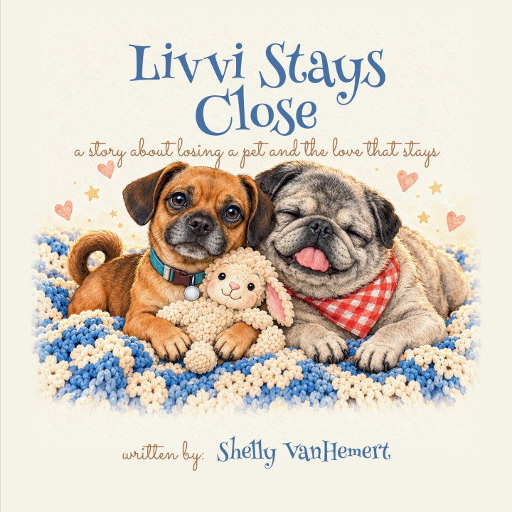 Buch Livvi Stays Close Shelly VanHemert