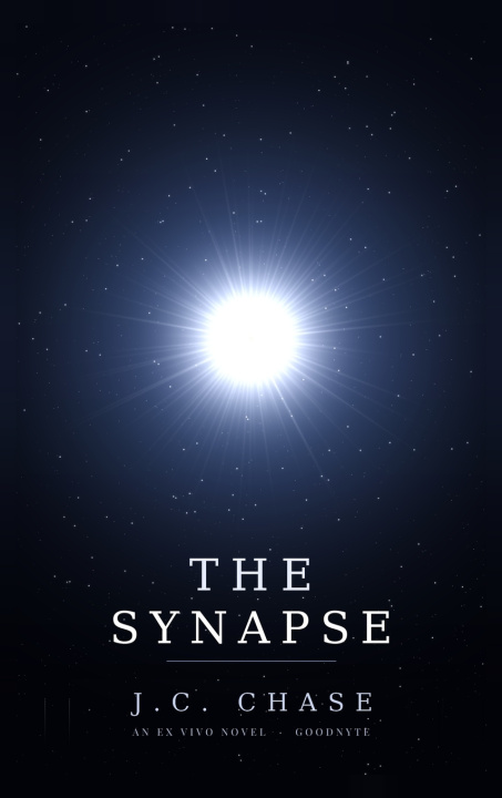 Buch The Synapse J. C. Chase