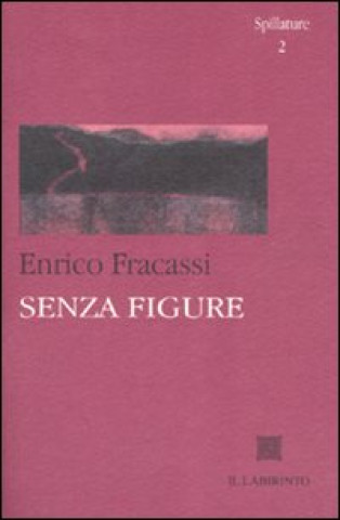 Libro Senza figure Enrico Fracassi
