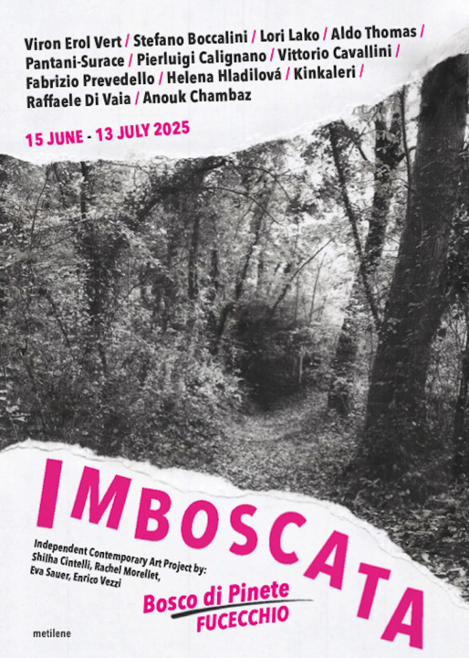Libro Imboscata 2025 