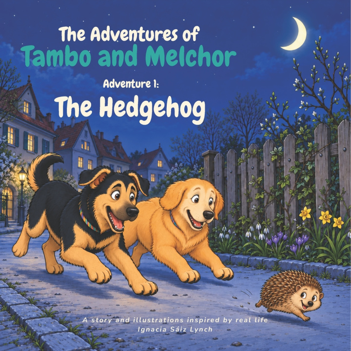 Könyv The Adventures of Tambo and Melchor Ignacia Sáiz Lynch