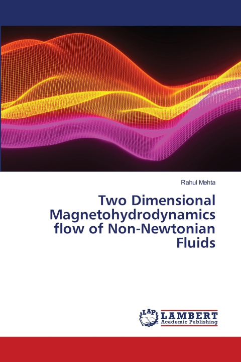 Könyv Two Dimensional Magnetohydrodynamics flow of Non-Newtonian Fluids Rahul Mehta