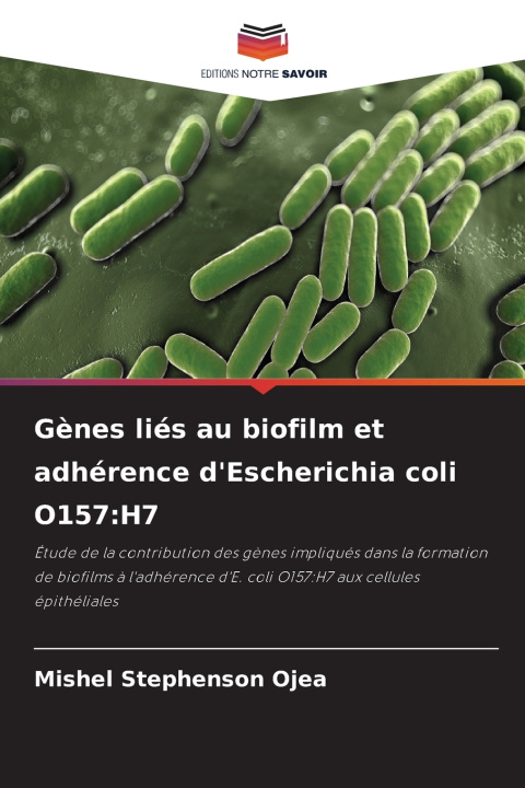 Kniha Gènes liés au biofilm et adhérence d'Escherichia coli O157 Mishel Stephenson Ojea