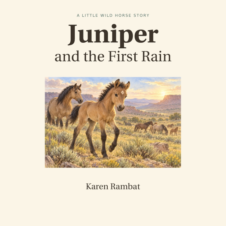 Könyv Juniper and the First Rain Karen Rambat