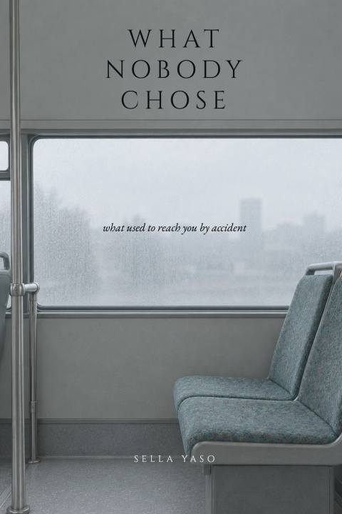 Kniha What Nobody Chose Sella Yaso