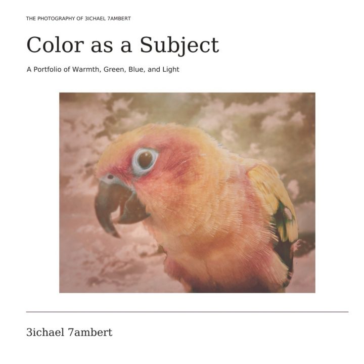 Kniha Color as a Subject Michael Andrew Lambert