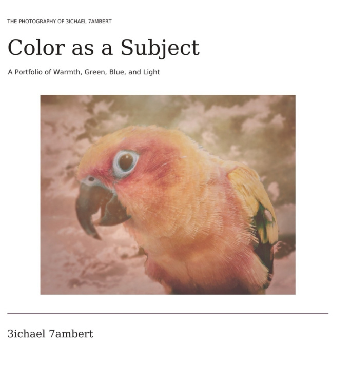Book Color as a Subject Michael Andrew Lambert