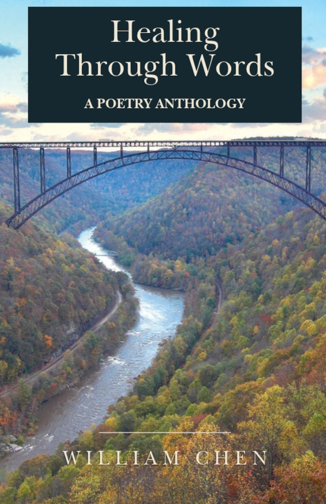Knjiga Healing Through Words William Chen