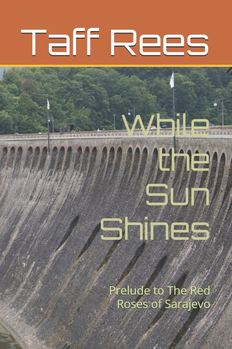 Kniha While the Sun Shines Mike Rees