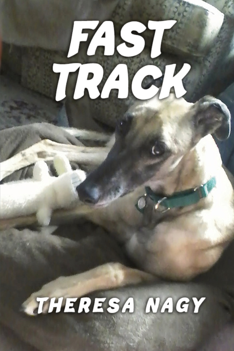 Könyv Fast Track Theresa Nagy