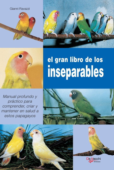 Knjiga El gran libro de los inseparables Gianni Ravazzi