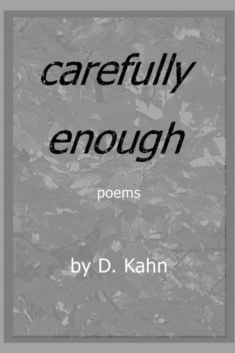 Kniha Carefully Enough D. Kahn
