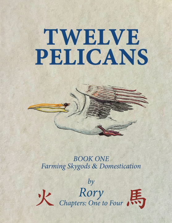 Książka Twelve Pelicans Rory