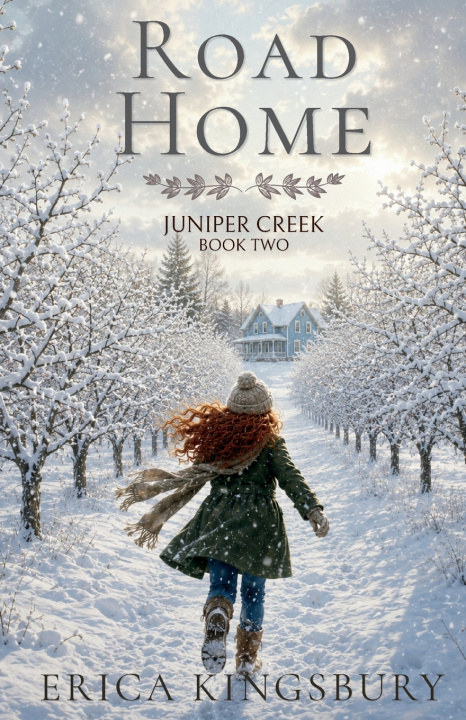 Knjiga Road Home Erica Kingsbury