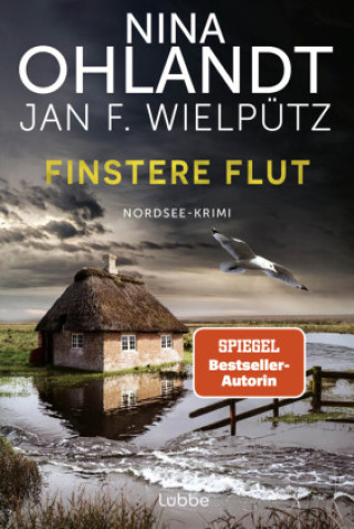 Książka Finstere Flut Nina Ohlandt