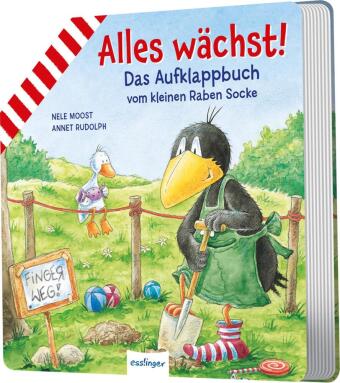Kniha Der kleine Rabe Socke: Alles wächst! Nele Moost