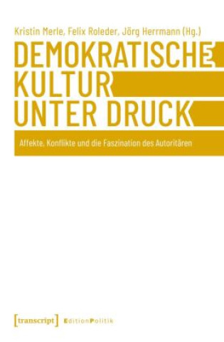 Kniha Demokratische Kultur unter Druck Kristin Merle