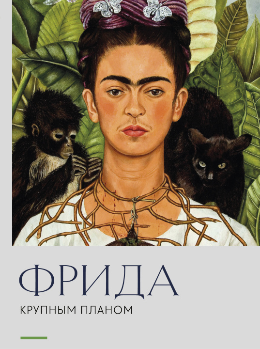 Knjiga Фрида. Крупным планом 