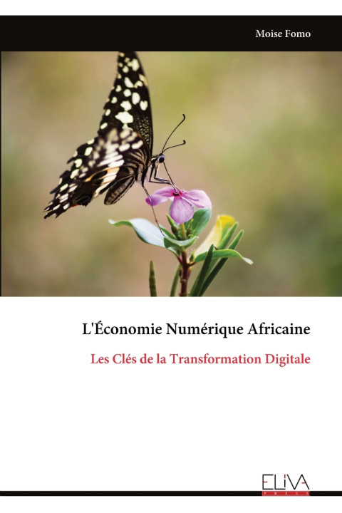 Kniha L'Économie Numérique Africaine Moise Fomo