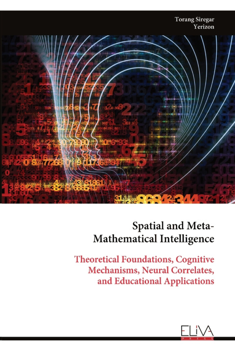 Knjiga Spatial and Meta- Mathematical Intelligence Torang Siregar