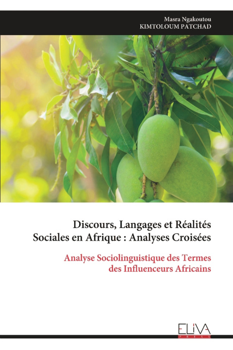 Kniha Discours, Langages et Réalités Sociales en Afrique Masra Ngakoutou