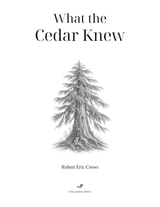 Livro What The Cedar Knew Robert Eric Crews