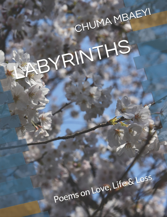 Libro LABYRINTHS CHUMA MBAEYI