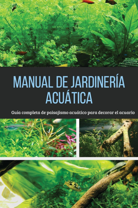 Kniha Manual de jardinería acuática Valentín Rouco