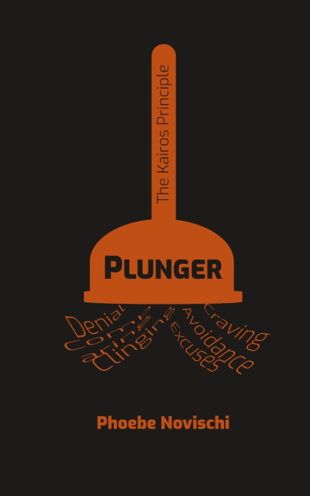 Boek Plunger Phoebe Novischi