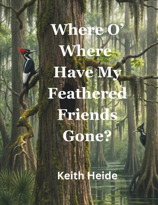 Kniha Where O' Where Have My Feathered Friends Gone Keith W Heide