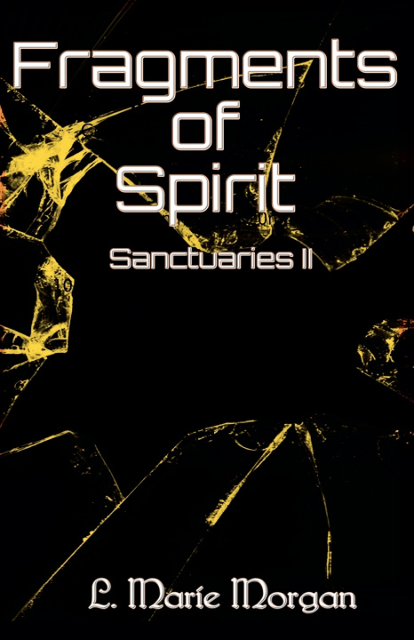 Buch Fragments of Spirit L. Marie Morgan