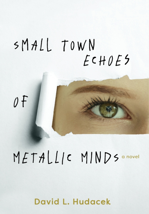 Kniha Small Town Echoes of Metallic Minds David L. Hudacek