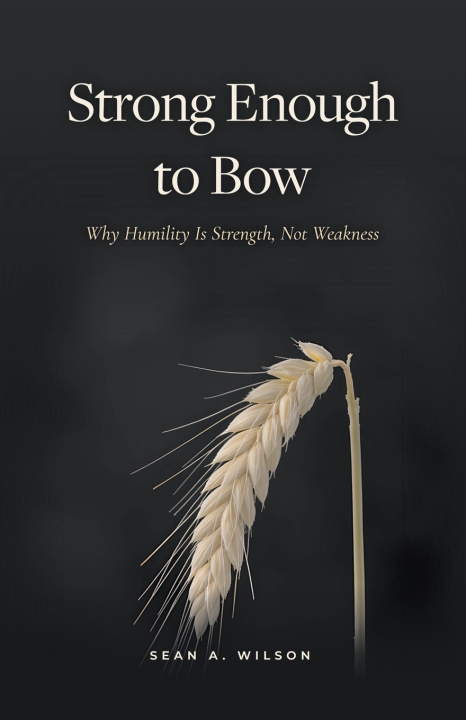 Kniha Strong Enough to Bow Sean A. Wilson